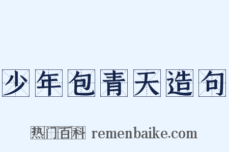 少年包青天造句是什么意思的图片